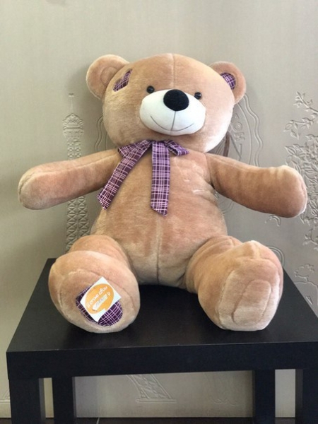 Мягкая игрушка Медведь 0,7 м, со вставками