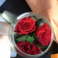 Композиция из живых цветов сроком до 8 лет три розы