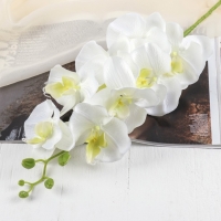 Цветы искусственные Орхидея Изящная 10*100 см, белая