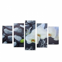 Модульная картина на подрамнике Орхидеи на камнях