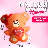 Мягкая игрушка-магнит «Только для тебя», медведь.